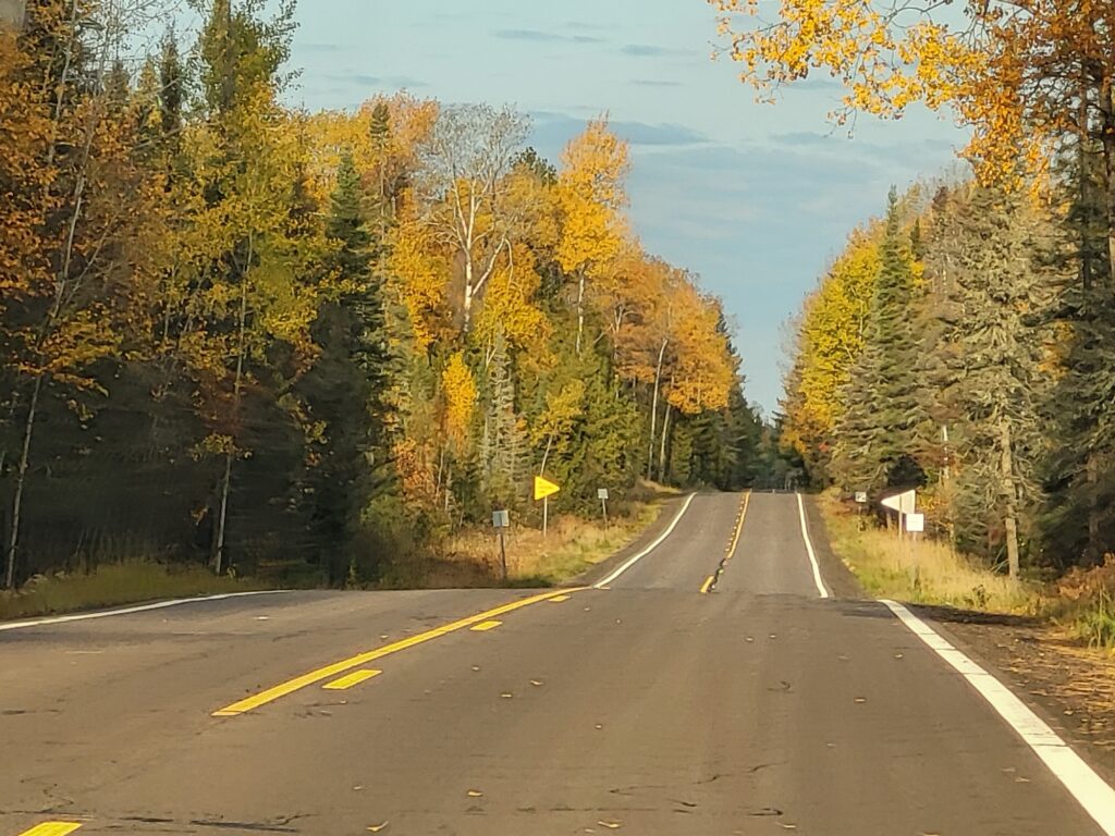 The Detour I Didn't Plan A tree-lined road in autumn representing an unexpected detour and the road ahead