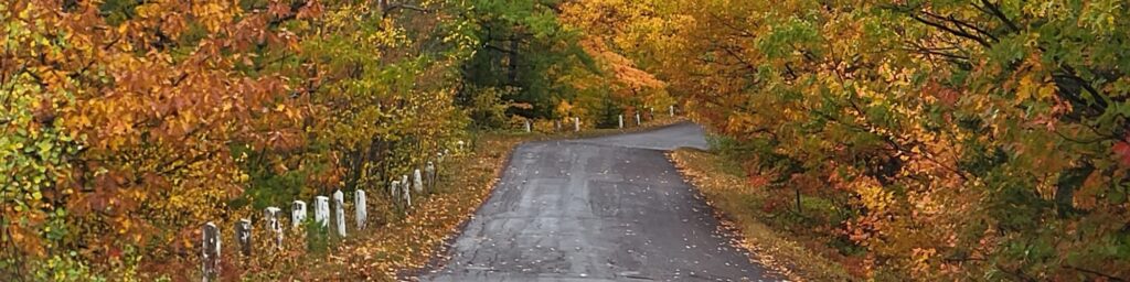 Quiet winding road surrounded by colorful autumn trees